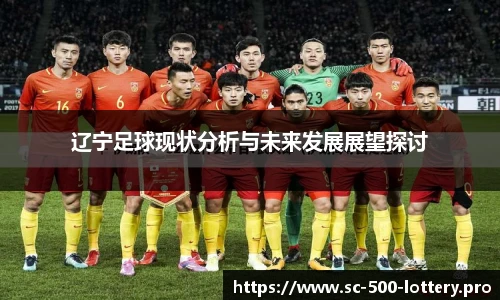 辽宁足球现状分析与未来发展展望探讨